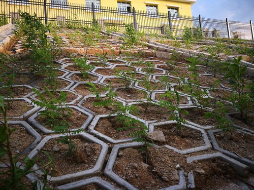 吉林高鐵綠化施工團(tuán)隊(duì) 專業(yè)園林綠化工程的實(shí)踐與價(jià)值