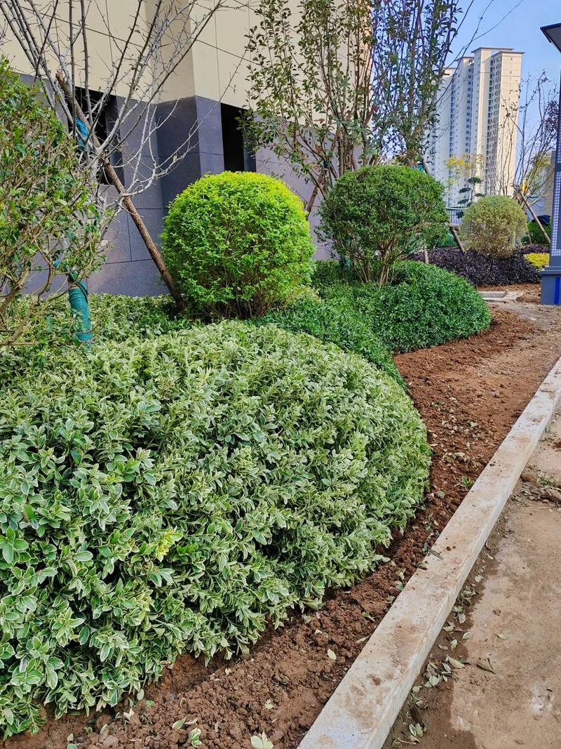 小區景觀綠化分享 共創宜居生態家園