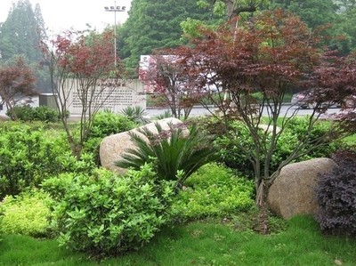 上海園林綠化工程與苗木批發價格全解析