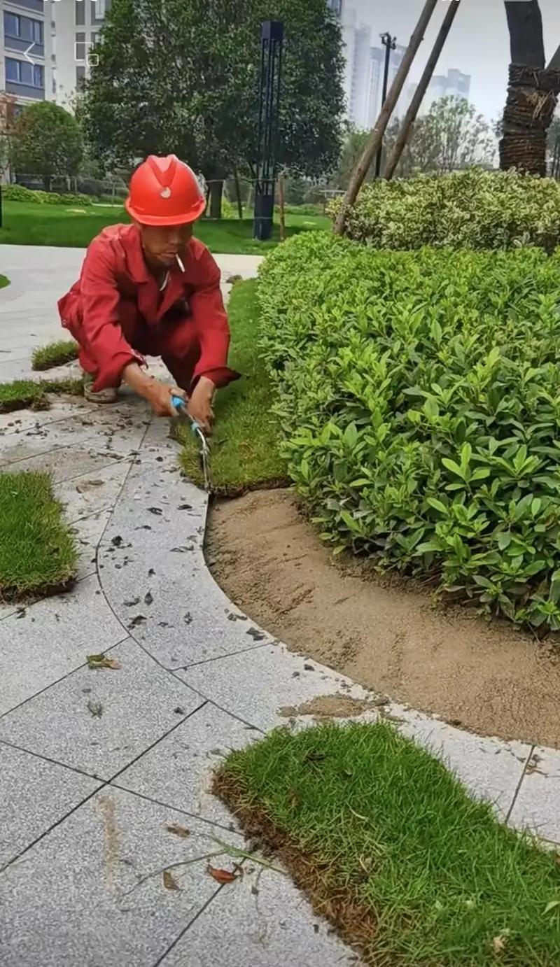 市政園林綠化工程 從精細(xì)化施工到智慧化管理，打造宜居美麗城市