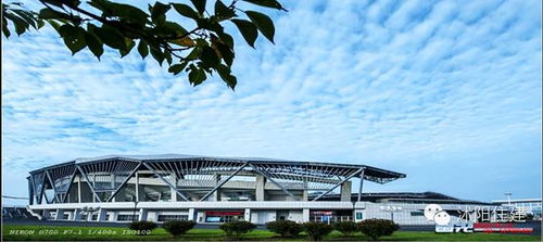 住建局小編和你聊聊 買房時(shí)，別忽略城市綠化管理